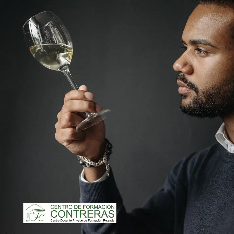 Especialízate en cata de vinos, maridaje y licores con nuestro curso online de 50h. Impulsa tu carrera en hostelería con Formación Contreras. ¡Matricúlate hoy!