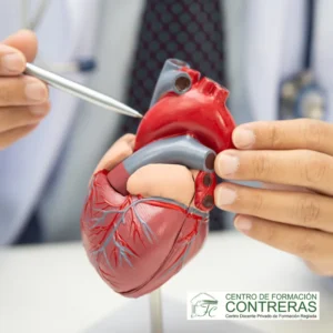 Fisioterapia En Cirugia Cardiaca Y Cardiologia